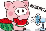 娱乐吃瓜点评怎么写的,轻松解读明星幕后故事