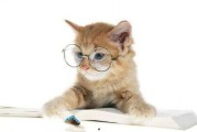 娱乐吃瓜猫的作品,揭秘娱乐圈那些不为人知的幕后故事